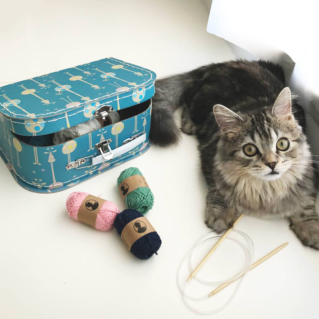 ソストレーネ・グレーネお台場