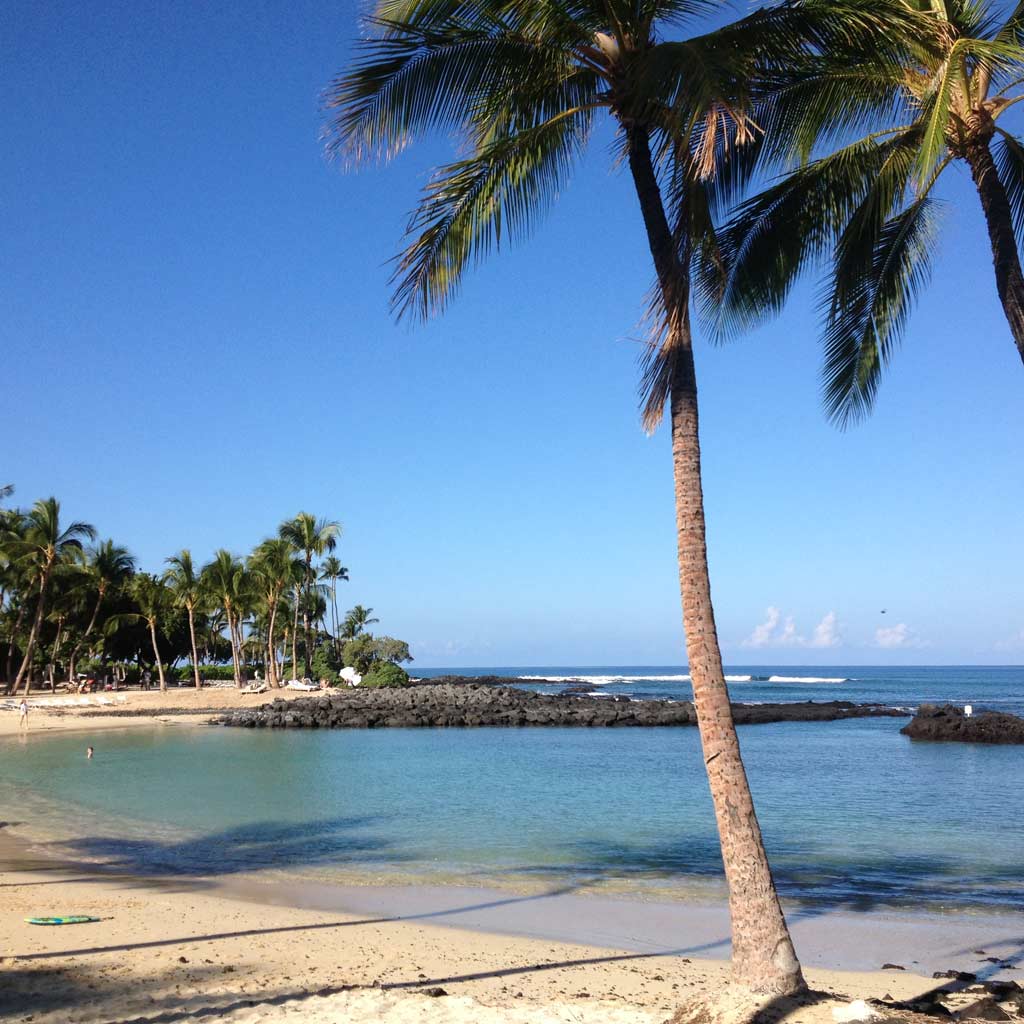 ザ フェアモント オーキッドハワイ