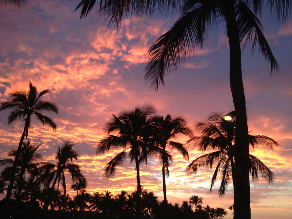 ブラウンズ ビーチハウス レストラン 