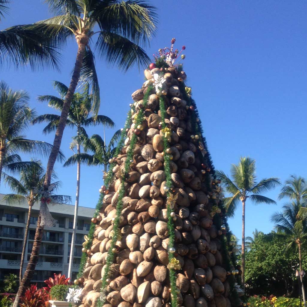 ザ フェアモント オーキッドハワイ