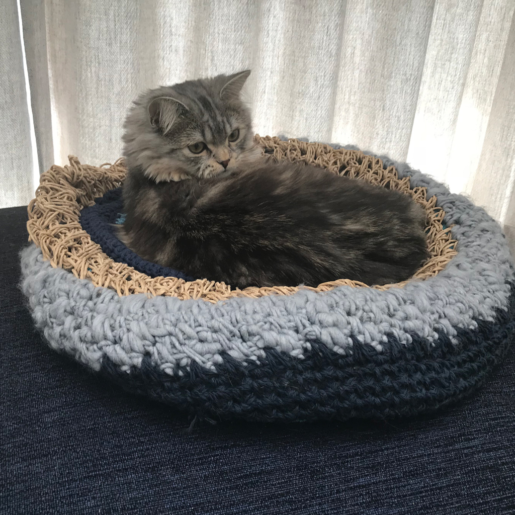 ソストレーネグレーネ